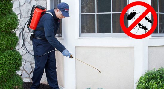 Dinar Böcek İlaçlama böcek ilaçlama ve haşere kontrolü — ilaclama-tr.com